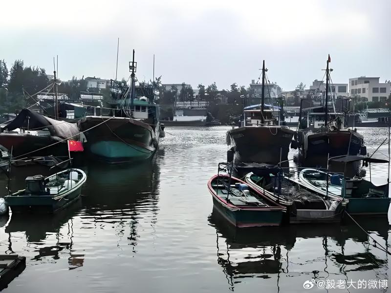 1763806355640532.jpg 图片5.jpg