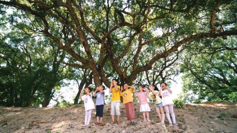 1764589666184178.jpg 图片11.jpg