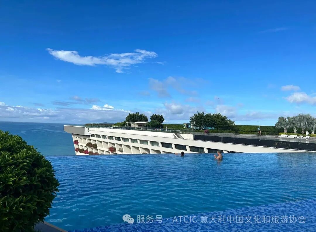 1765255221264839.jpg 1765255221264839.jpg